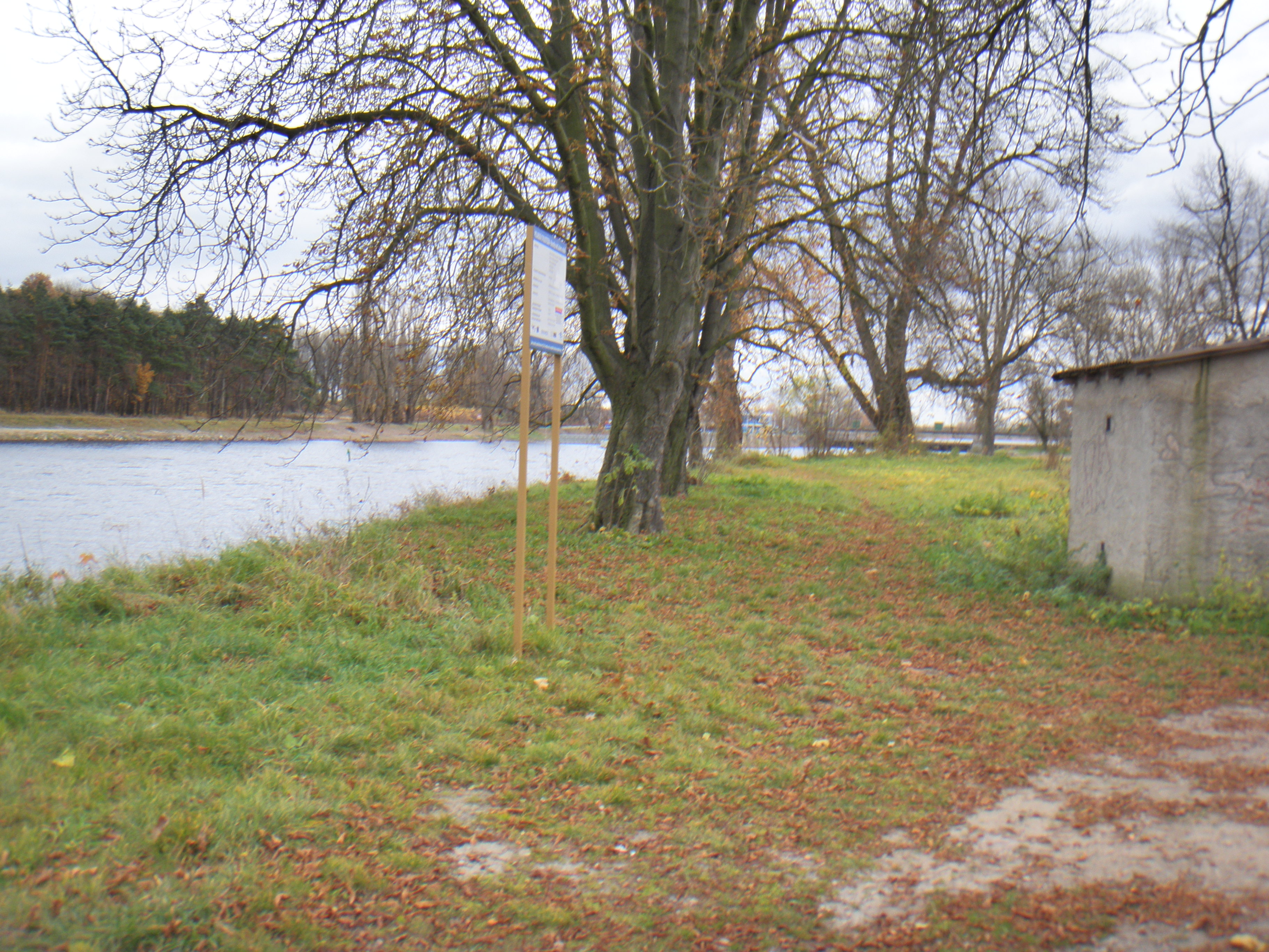 P7080055