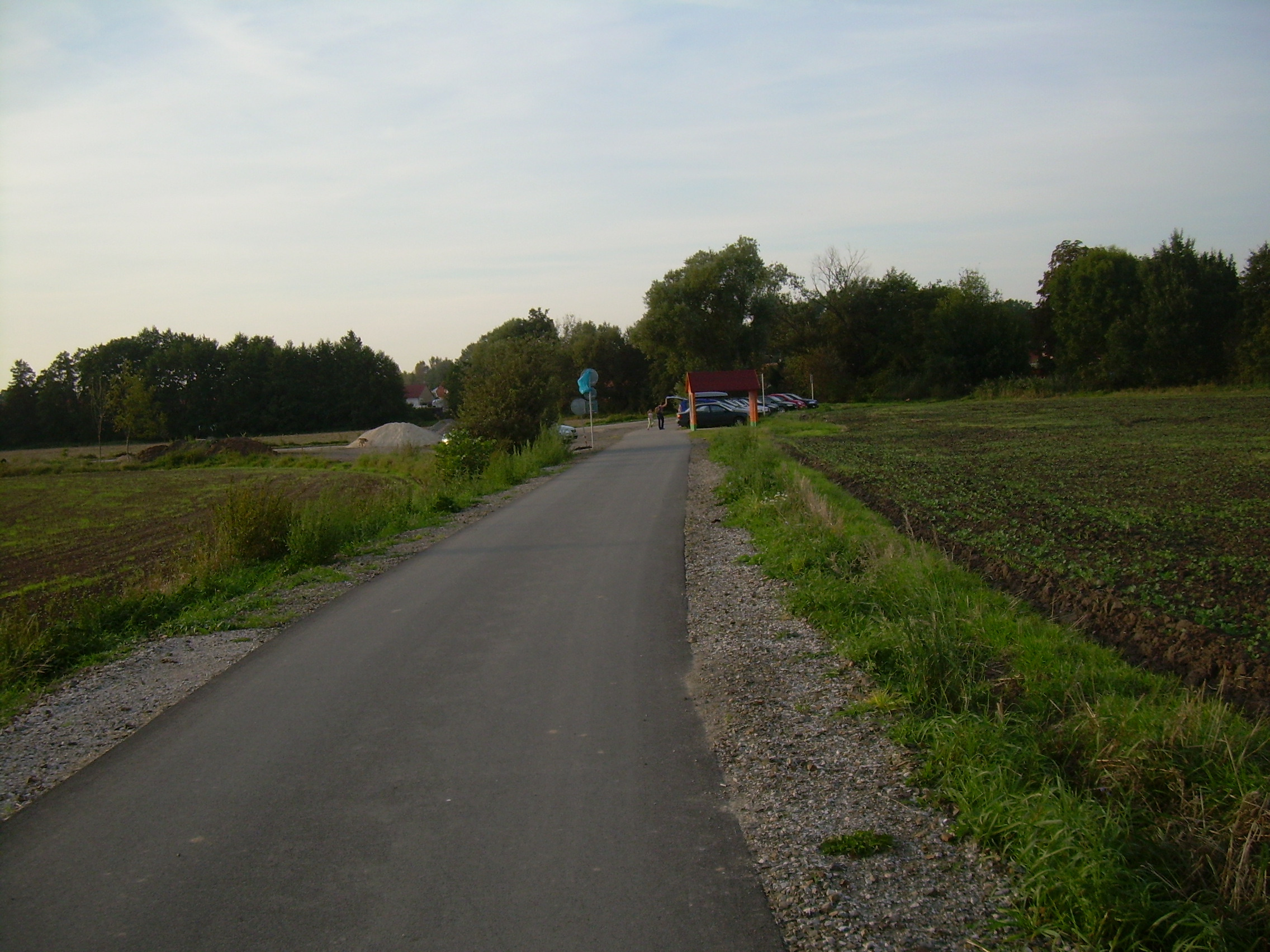 DSCN2988