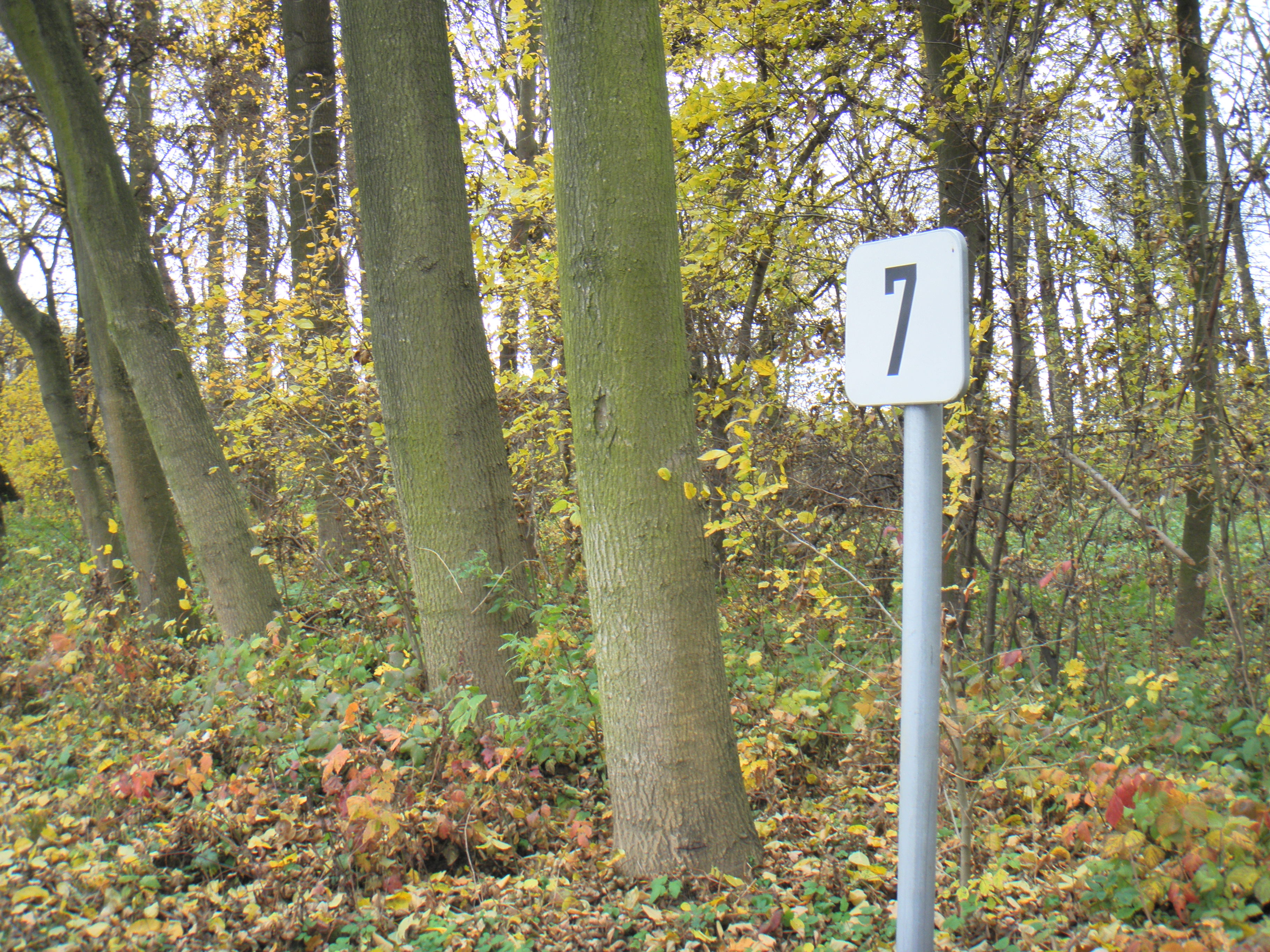 P7080012