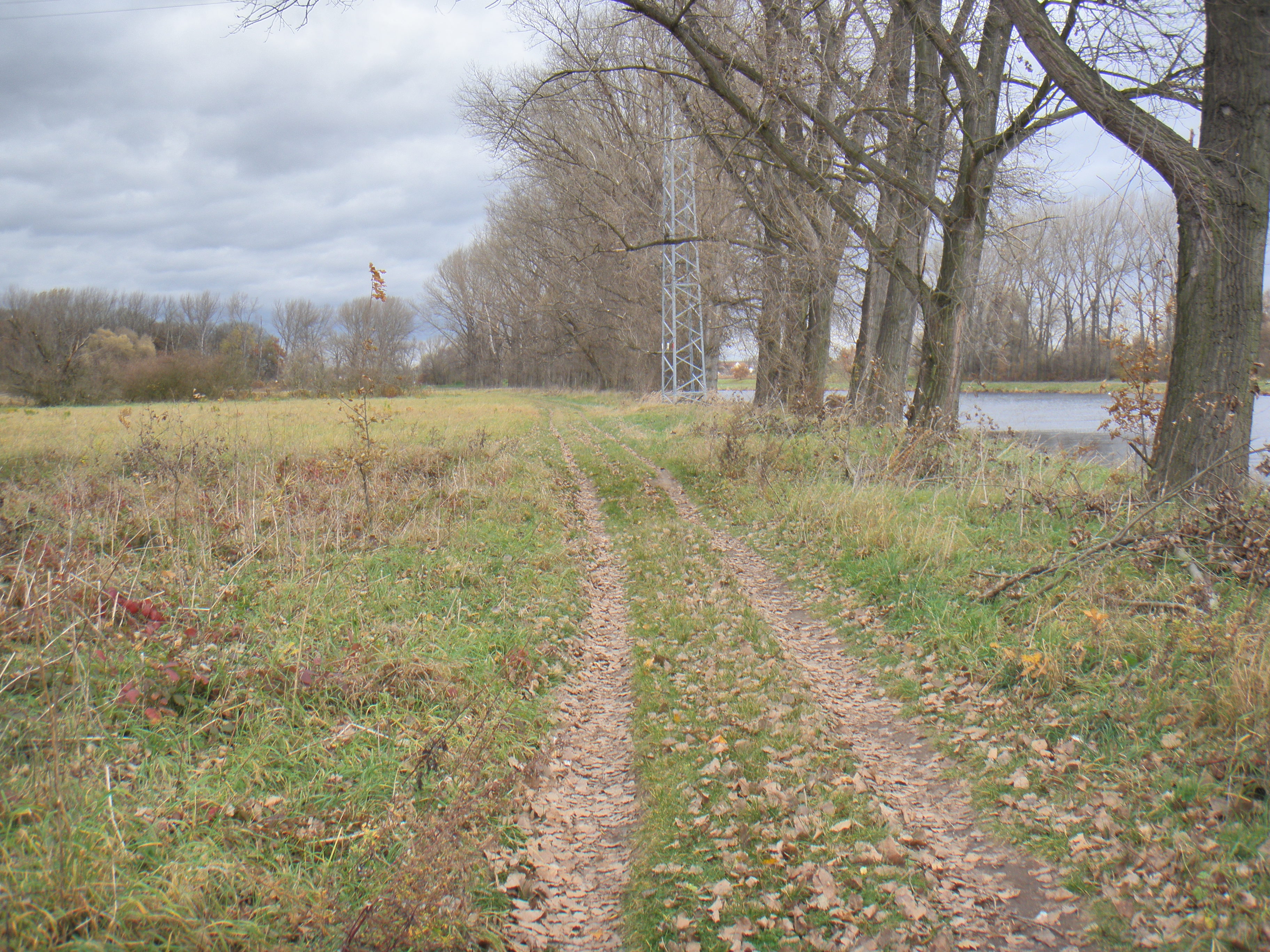 P7080015