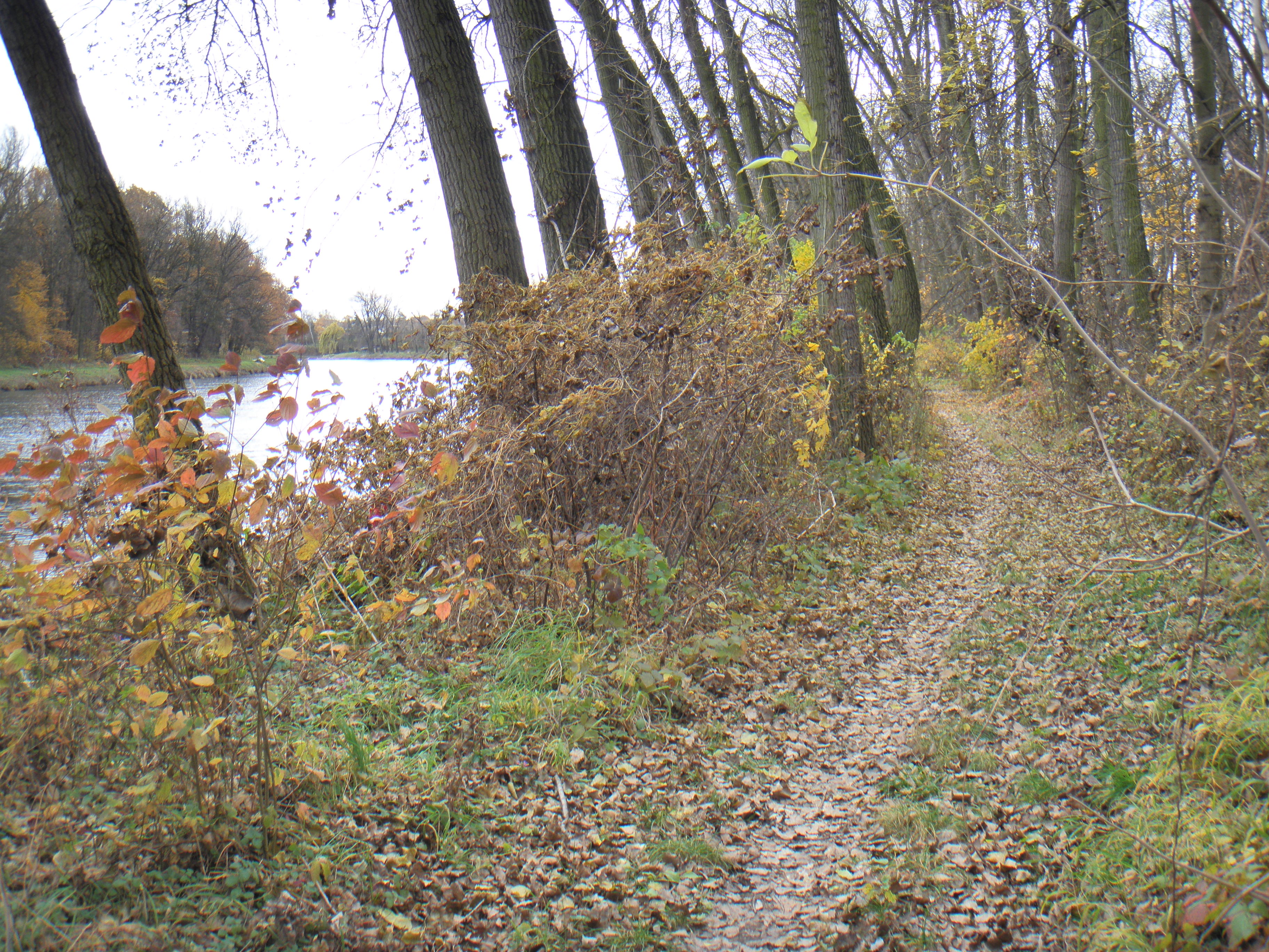 P7080020